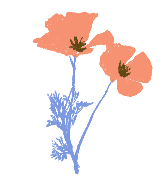 Poppys