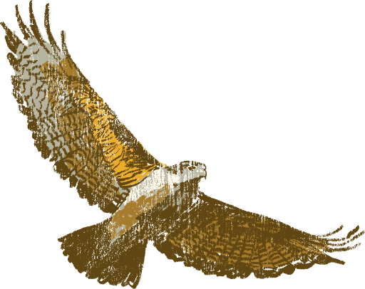 Eagle