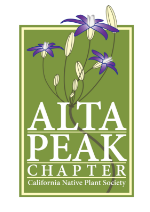 Alta Peak Chapter - CNPS