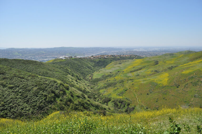 Chino Hills