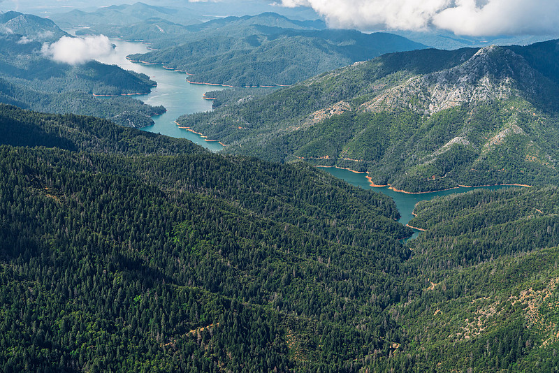 An aerial view of Shasta lake, dark blue surrounded by conifer forests.